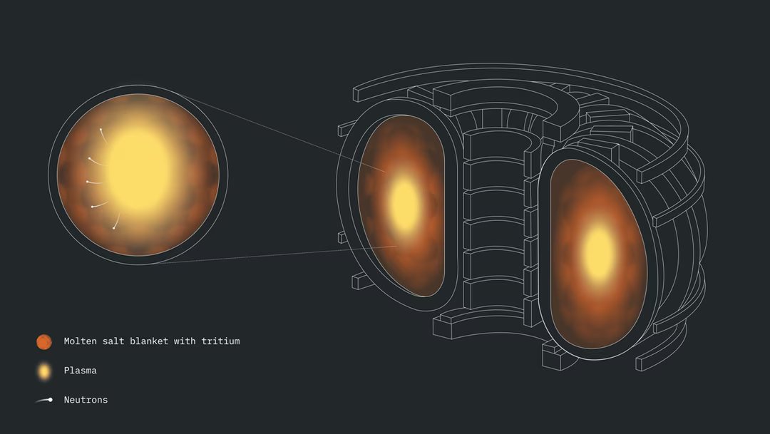 tritium tokamak IBM